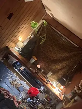 Snapshot of SexToyOnely chatting on 02/06/26, 08:56 SexToyOnely online show from 02/06/26, 08:56