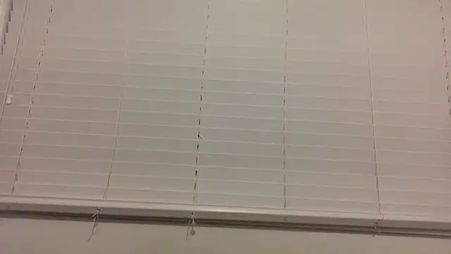 lilboygonewild online show from 11/14/25, 10:58