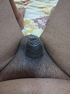 dirtybearr online show from 06/15/26, 04:58