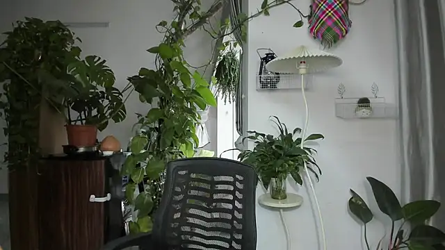 Oliver Nl online show from 11/19/25, 04:56