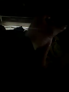 dickemdowncharleybrown online show from 12/17/25, 03:51