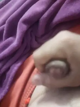 Snapshot of dredre1069 chatting on 02/02/26, 03:05 dredre1069 online show from 02/02/26, 03:05