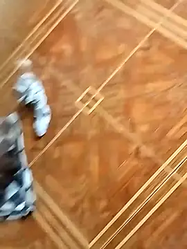 Snapshot of socrathes chatting on 02/26/26, 12:26 socrathes online show from 02/26/26, 12:26