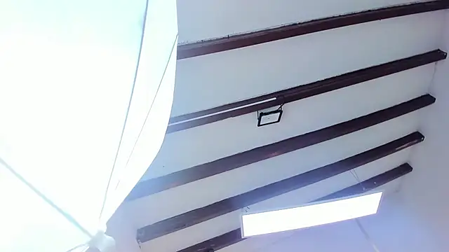 Oriana Guzman online show from 02/22/25, 06:41