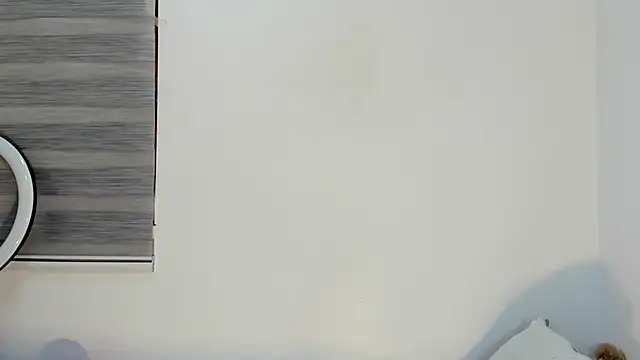 bella hadid1  online show from 12/21/25, 04:47