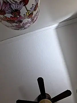 Zander823 online show from 02/03/26, 11:10