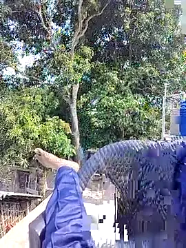 ErRakesh1 online show from 11/10/25, 05:28