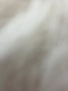 NewLale online show from 01/27/25, 06:30