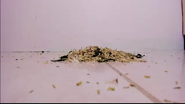 violeth hill online show from 02/27/25, 11:26