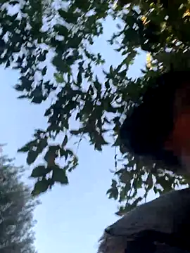 Snapshot of starrynikki chatting on 10/24/25, 02:24 starrynikki online show from 10/24/25, 02:24