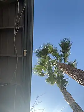 Snapshot of starrynikki chatting on 02/06/26, 08:01 starrynikki online show from 02/06/26, 08:01