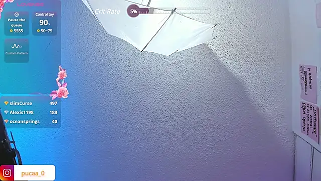 Pucaa  online show from 12/30/24, 04:42