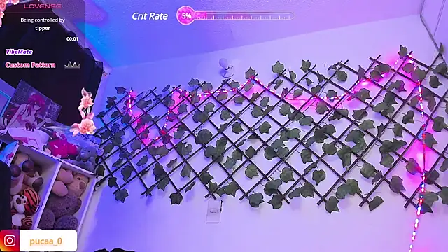 Pucaa  online show from 01/28/25, 12:57