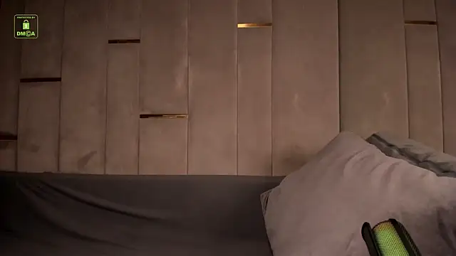 Snapshot of BrandonNorris chatting on 03/13/26, 04:19 BrandonNorris online show from 03/13/26, 04:19