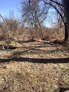 Boysex227 online show from 03/08/25, 08:11