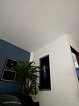 SilvaBranko online show from 12/18/25, 12:06