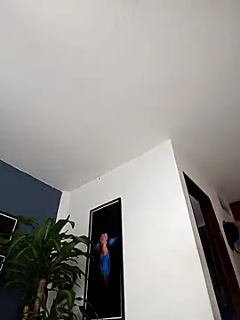 Snapshot of SilvaBranko chatting on 12/20/25, 02:07 SilvaBranko online show from 12/20/25, 02:07