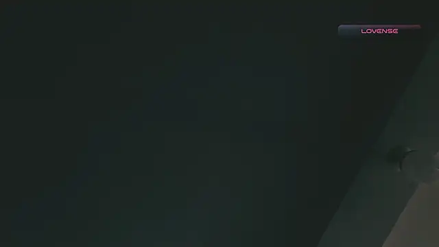 Snapshot of SilvaBranko chatting on 02/17/26, 03:08 SilvaBranko online show from 02/17/26, 03:08