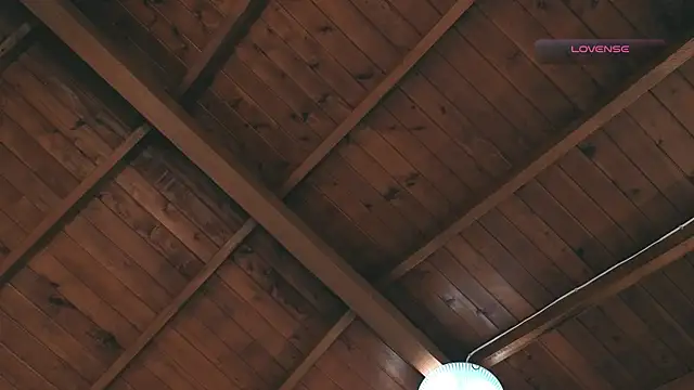 Snapshot of SilvaBranko chatting on 03/02/26, 12:02 SilvaBranko online show from 03/02/26, 12:02