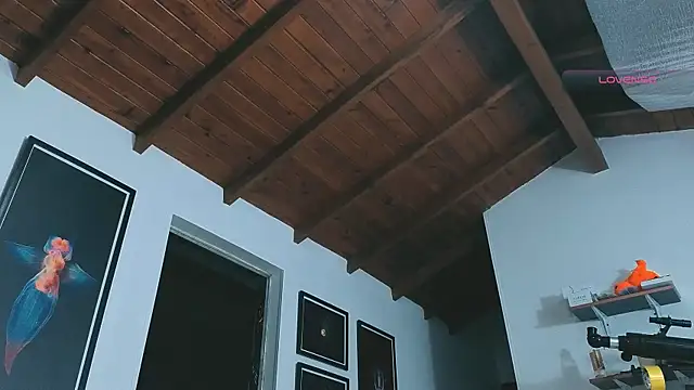 Snapshot of SilvaBranko chatting on 03/14/26, 12:06 SilvaBranko online show from 03/14/26, 12:06