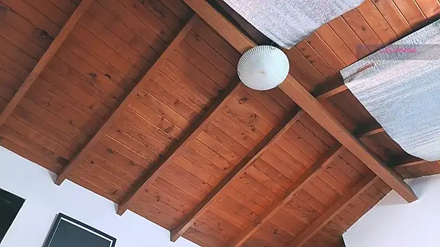 Snapshot of SilvaBranko chatting on 03/14/26, 08:03 SilvaBranko online show from 03/14/26, 08:03