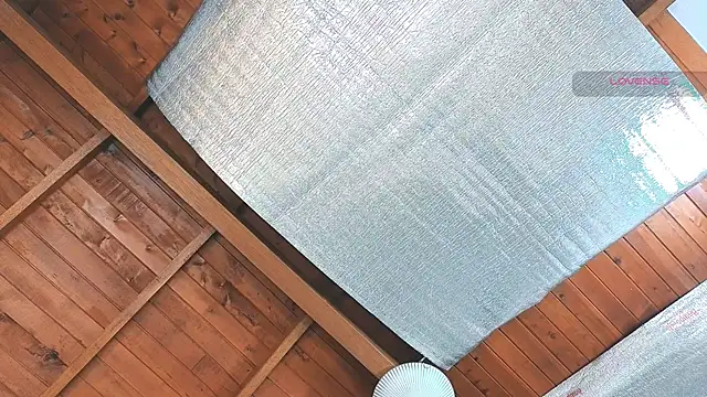 Snapshot of SilvaBranko chatting on 03/16/26, 12:06 SilvaBranko online show from 03/16/26, 12:06