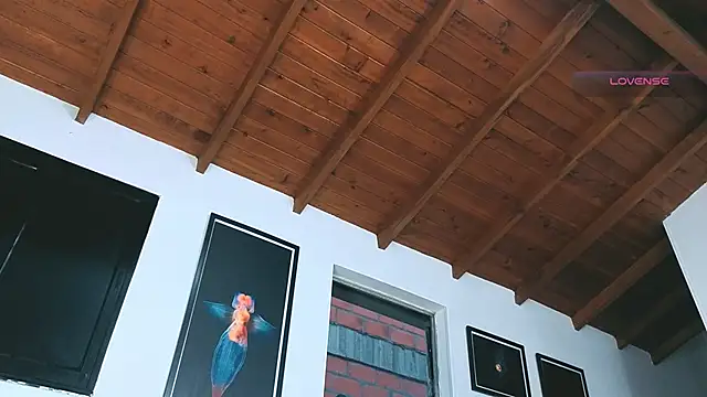 Snapshot of SilvaBranko chatting on 03/16/26, 11:09 SilvaBranko online show from 03/16/26, 11:09