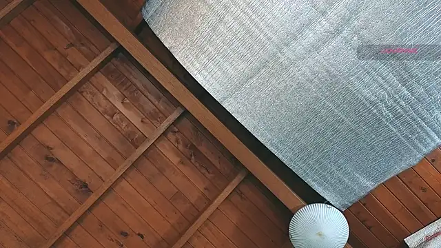 Snapshot of SilvaBranko chatting on 03/27/26, 09:03 SilvaBranko online show from 03/27/26, 09:03