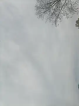 Snapshot of Nkumar173 chatting on 02/13/25, 05:26 Nkumar173 online show from 02/13/25, 05:26