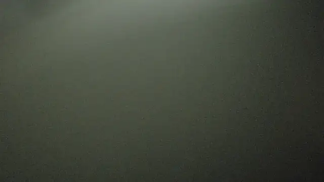 Armyexhibitionistvet online show from 10/03/25, 11:35