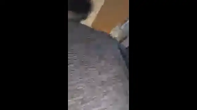 Armyexhibitionistvet online show from 10/20/25, 08:15