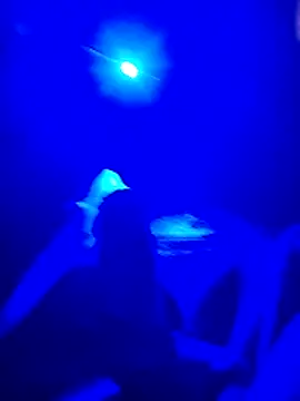 prcalek19 online show from 11/20/25, 07:46