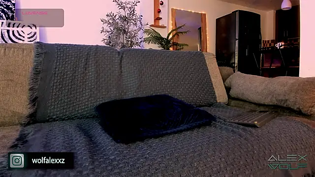 alex wolf  online show from 02/08/25, 02:04