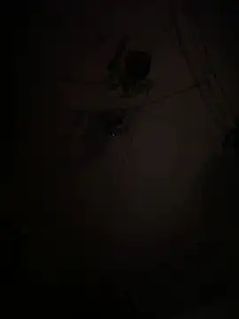 Snapshot of EnricoGio chatting on 01/15/26, 01:21 EnricoGio online show from 01/15/26, 01:21