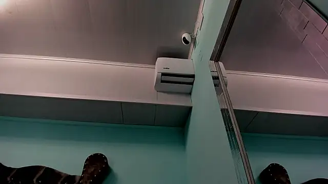 Snapshot of alice_greco chatting on 12/31/24, 10:58 alice greco online show from 12/31/24, 10:58