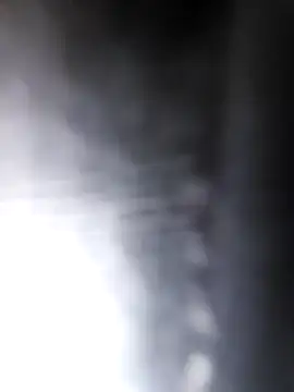 studboy1111 online show from 12/31/24, 06:46