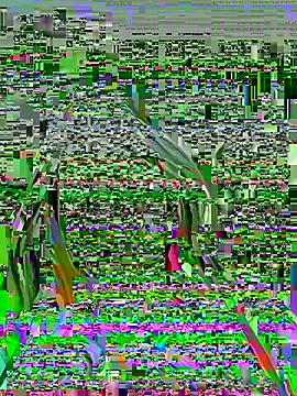 Vikki toriya online show from 03/01/26, 05:15