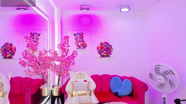 Miss dolly  online show from 02/12/25, 12:33