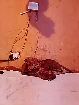 Snapshot of cute_naimah chatting on 12/05/25, 06:15 cute naimah online show from 12/05/25, 06:15