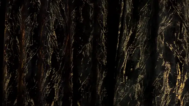 Snapshot of MiaCharm chatting on 02/24/26, 11:47 MiaCharm online show from 02/24/26, 11:47