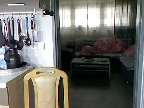 Snapshot of pimmelmann3 chatting on 11/15/25, 11:40 pimmelmann3 online show from 11/15/25, 11:40