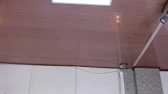 PalmerBeaumont online show from 01/31/25, 11:13