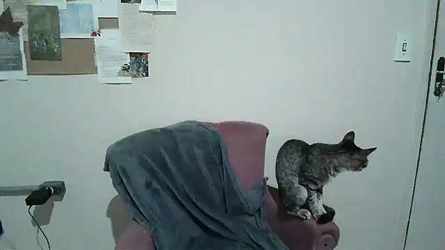 Snapshot of bbyedarling chatting on 11/06/25, 01:50 bbyedarling online show from 11/06/25, 01:50