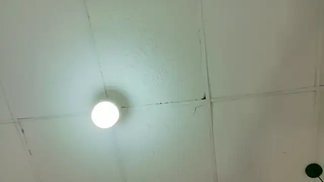 Snapshot of kendalltaylorr chatting on 03/06/26, 04:42 kendalltaylorr online show from 03/06/26, 04:42