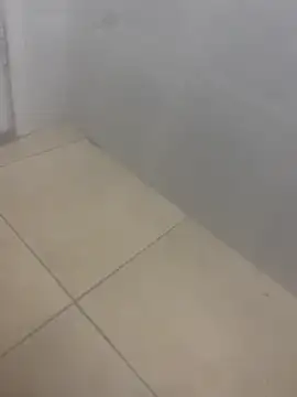 Snapshot of rafahpirusudo chatting on 03/19/26, 08:29 rafahpirusudo online show from 03/19/26, 08:29