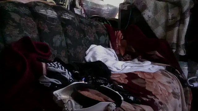 Snapshot of Phelyxx_elgato chatting on 12/09/24, 12:12 Phelyxx elgato online show from 12/09/24, 12:12