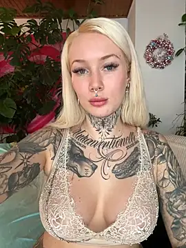 Stella-Kink online show from 12/14/24, 12:33