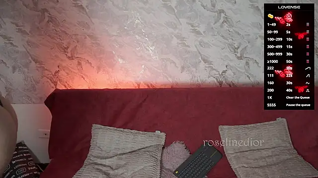 roselinedior online show from 11/26/25, 01:34