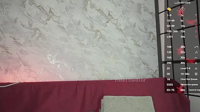Snapshot of roselinedior chatting on 03/27/26, 03:12 roselinedior online show from 03/27/26, 03:12