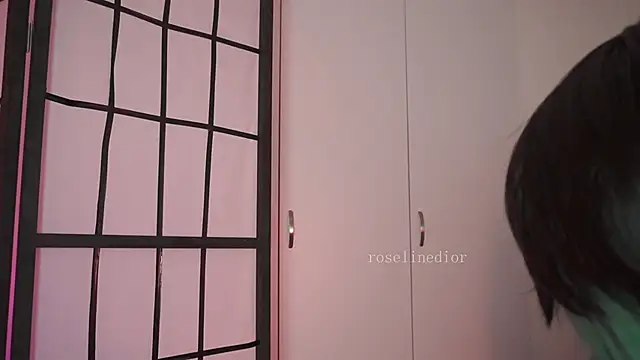 Snapshot of roselinedior chatting on 04/23/26, 12:29 roselinedior online show from 04/23/26, 12:29